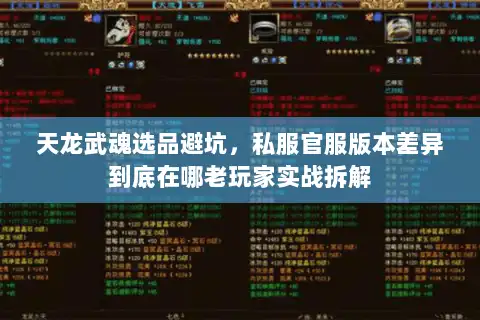 天龙武魂选品避坑,私服官服版本差异到底在哪老玩家实战拆解 天龙武魂选品避坑,私服官服版本差异到底在哪老玩家实战拆解