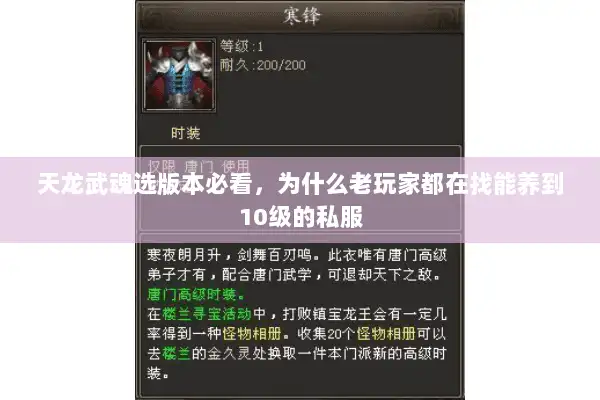 天龙武魂选版本必看,为什么老玩家都在找能养到10级的私服 天龙武魂选版本必看,为什么老玩家都在找能养到10级的私服