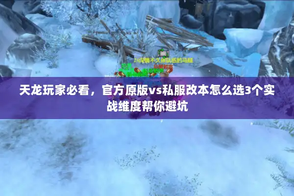天龙玩家必看，官方原版vs私服改本怎么选3个实战维度帮你避坑