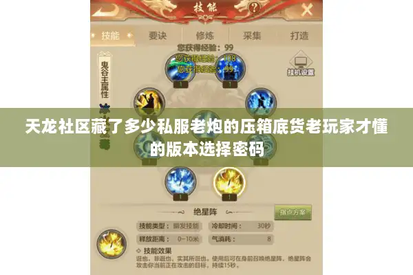 天龙社区藏了多少私服老炮的压箱底货老玩家才懂的版本选择密码