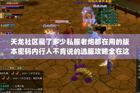 天龙社区藏了多少私服老炮都在用的版本密码内行人不肯说的选服攻略全在这