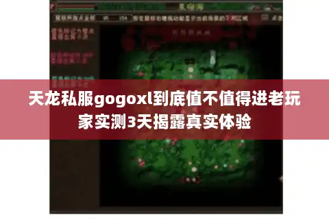 天龙私服gogoxl到底值不值得进老玩家实测3天揭露真实体验