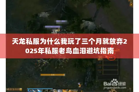 天龙私服为什么我玩了三个月就放弃2025年私服老鸟血泪避坑指南