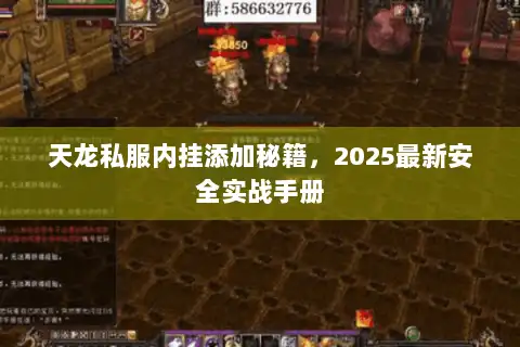 天龙私服内挂添加秘籍,2025最新安全实战手册 天龙私服内挂添加秘籍,2025最新安全实战手册