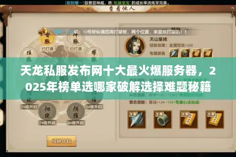 天龙私服发布网十大最火爆服务器，2025年榜单选哪家破解选择难题秘籍