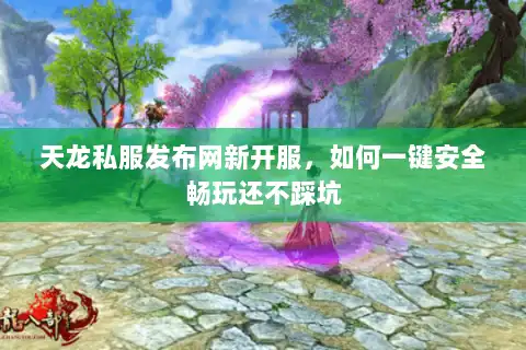 天龙私服发布网新开服，如何一键安全畅玩还不踩坑