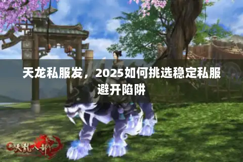 天龙私服发，2025如何挑选稳定私服避开陷阱