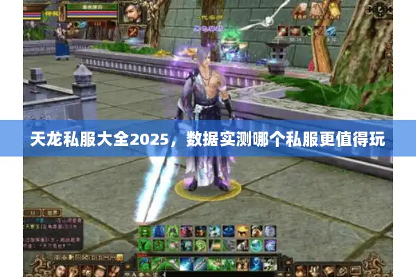 天龙私服大全2025，数据实测哪个私服更值得玩