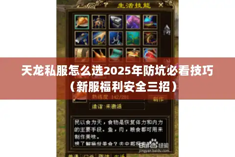 天龙私服怎么选2025年防坑必看技巧（新服福利安全三招）
