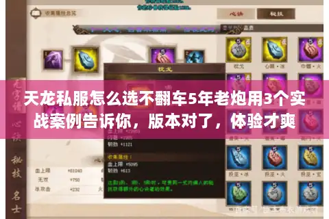 天龙私服怎么选不翻车5年老炮用3个实战案例告诉你，版本对了，体验才爽