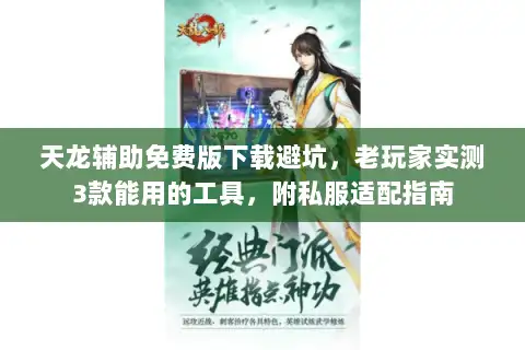 天龙辅助免费版下载避坑，老玩家实测3款能用的工具，附私服适配指南