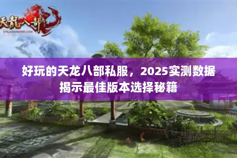 好玩的天龙八部私服,2025实测数据揭示最佳版本选择秘籍 好玩的天龙八部私服,2025实测数据揭示最佳版本选择秘籍