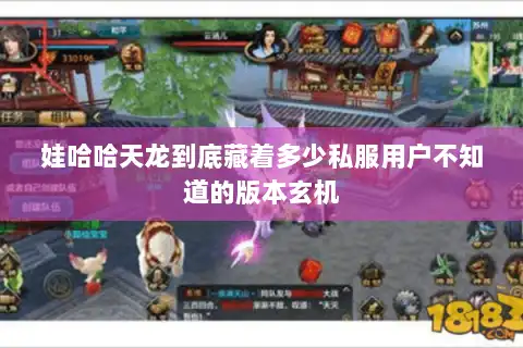 娃哈哈天龙到底藏着多少私服用户不知道的版本玄机