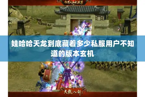 娃哈哈天龙到底藏着多少私服用户不知道的版本玄机