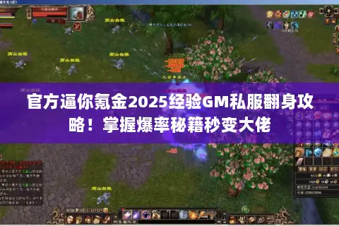 官方逼你氪金2025经验GM私服翻身攻略！掌握爆率秘籍秒变大佬