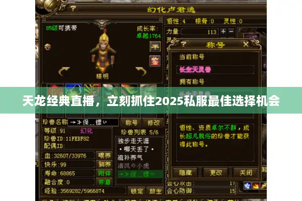 天龙经典直播，立刻抓住2025私服最佳选择机会