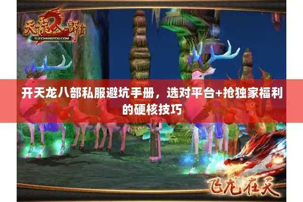 开天龙八部私服避坑手册，选对平台+抢独家福利的硬核技巧