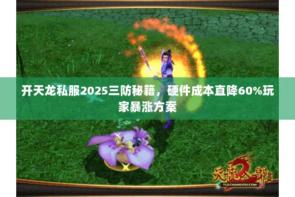 开天龙私服2025三防秘籍，硬件成本直降60%玩家暴涨方案