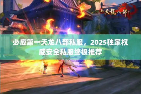 必应第一天龙八部私服，2025独家权威安全私服终极推荐