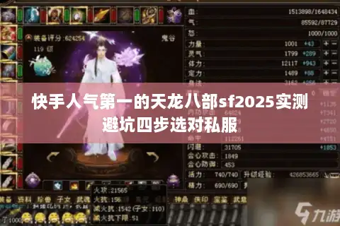 快手人气第一的天龙八部sf2025实测避坑四步选对私服