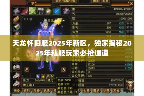天龙怀旧服2025年新区，独家揭秘2025年私服玩家必抢通道