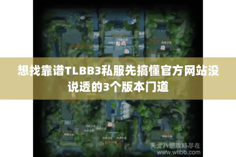 想找靠谱TLBB3私服先搞懂官方网站没说透的3个版本门道