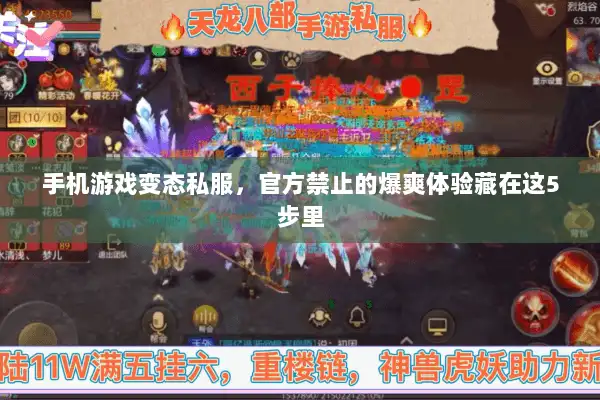 手机游戏变态私服，官方禁止的爆爽体验藏在这5步里