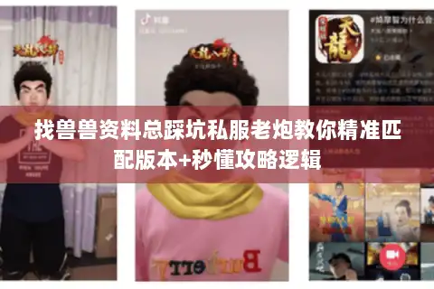 找兽兽资料总踩坑私服老炮教你精准匹配版本+秒懂攻略逻辑 找兽兽资料总踩坑私服老炮教你精准匹配版本+秒懂攻略逻辑
