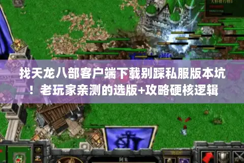 找天龙八部客户端下载别踩私服版本坑！老玩家亲测的选版+攻略硬核逻辑