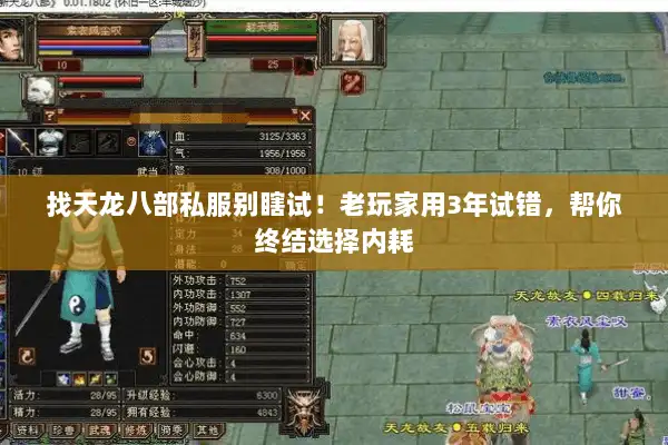 找天龙八部私服别瞎试！老玩家用3年试错，帮你终结选择内耗