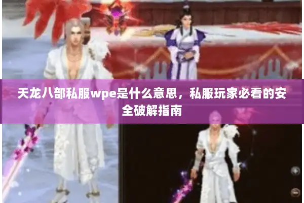 天龙八部私服wpe是什么意思,私服玩家必看的安全破解指南 天龙八部私服wpe是什么意思,私服玩家必看的安全破解指南