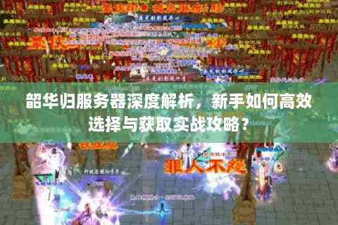 韶华归服务器深度解析，新手如何高效选择与获取实战攻略？