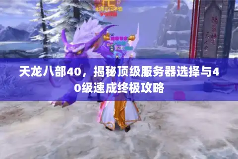 天龙八部40，揭秘顶级服务器选择与40级速成终极攻略