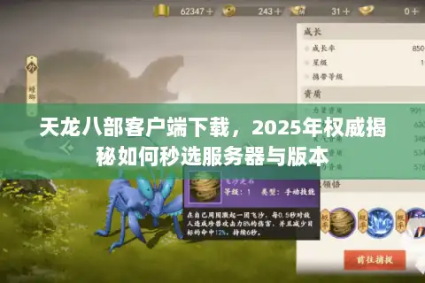 天龙八部客户端下载，2025年权威揭秘如何秒选服务器与版本