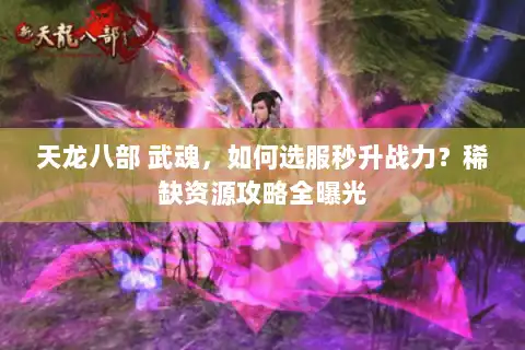 天龙八部 武魂，如何选服秒升战力？稀缺资源攻略全曝光