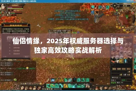 仙侣情缘，2025年权威服务器选择与独家高效攻略实战解析