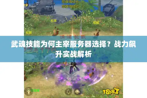 武魂技能为何主宰服务器选择？战力飙升实战解析