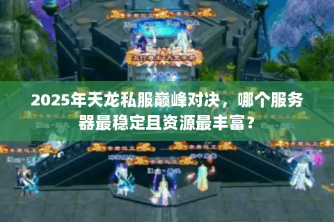 2025年天龙私服巅峰对决，哪个服务器最稳定且资源最丰富？