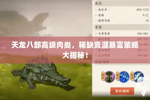 天龙八部高级肉类，稀缺资源暴富策略大揭秘！