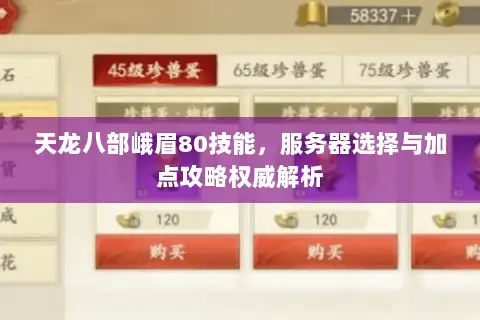 天龙八部峨眉80技能，服务器选择与加点攻略权威解析