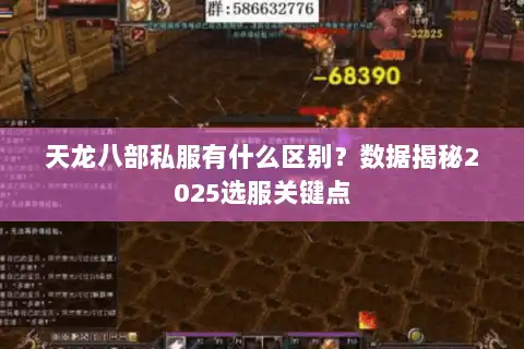 天龙八部私服有什么区别？数据揭秘2025选服关键点