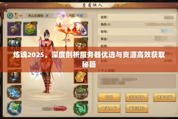 炼魂2025，深度剖析服务器优选与资源高效获取秘籍