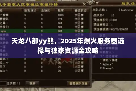 天龙八部yy熊，2025年爆火服务器选择与独家资源全攻略