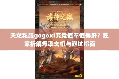 天龙私服gogoxl究竟值不值得肝？独家拆解爆率玄机与避坑指南