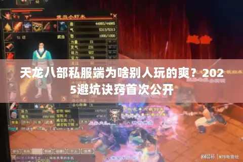 天龙八部私服端为啥别人玩的爽？2025避坑诀窍首次公开