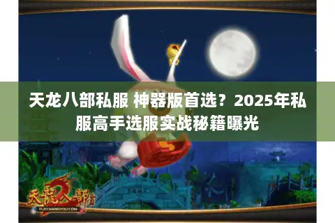 天龙八部私服 神器版首选？2025年私服高手选服实战秘籍曝光