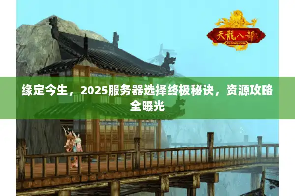 缘定今生，2025服务器选择终极秘诀，资源攻略全曝光