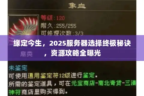 缘定今生，2025服务器选择终极秘诀，资源攻略全曝光