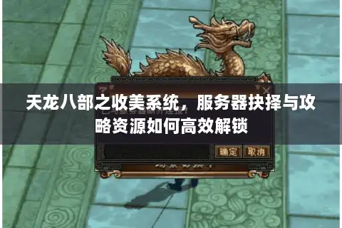 天龙八部之收美系统，服务器抉择与攻略资源如何高效解锁