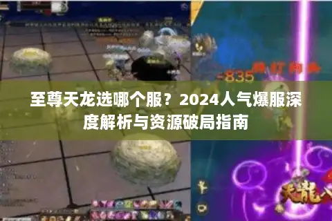 至尊天龙选哪个服？2024人气爆服深度解析与资源破局指南